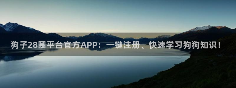 狗子28圈平台官方APP：一键注册、快速学习狗狗知识！