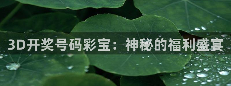 凯发k8国际网站：3D开奖号码彩宝：神秘的福利盛宴